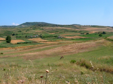 Fields around Apollonia, Albania
